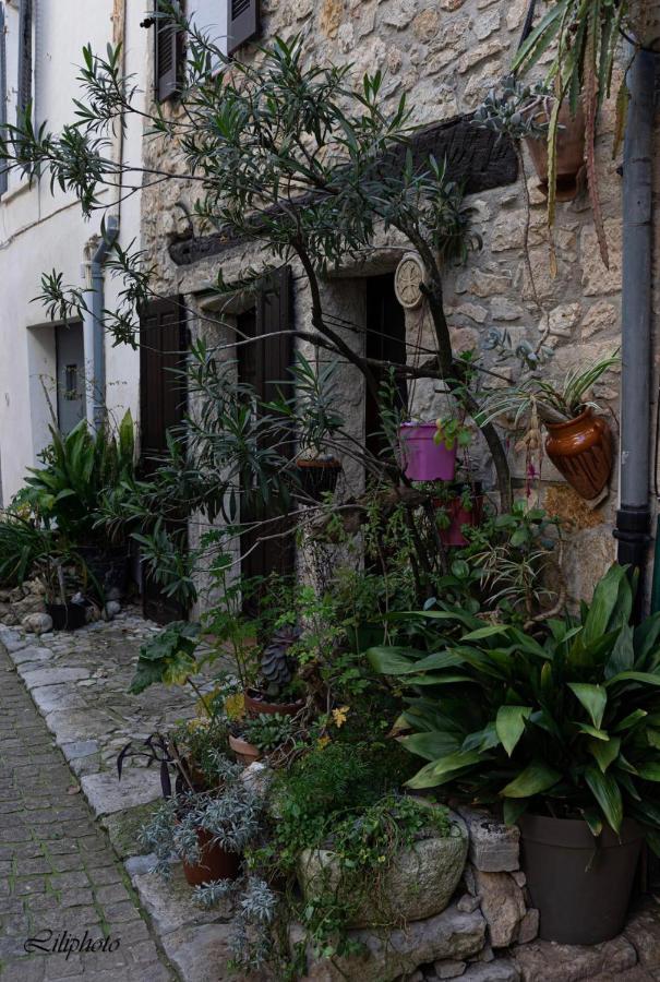Appartement Cosy Provencal à Belgentier Extérieur photo